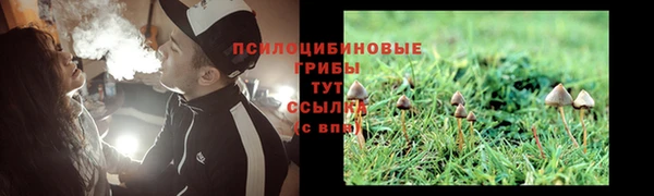бошки Алзамай