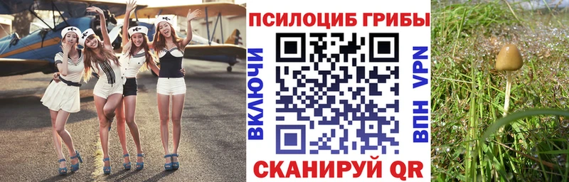 блэк спрут как войти  Хотьково  Псилоцибиновые грибы мухоморы 